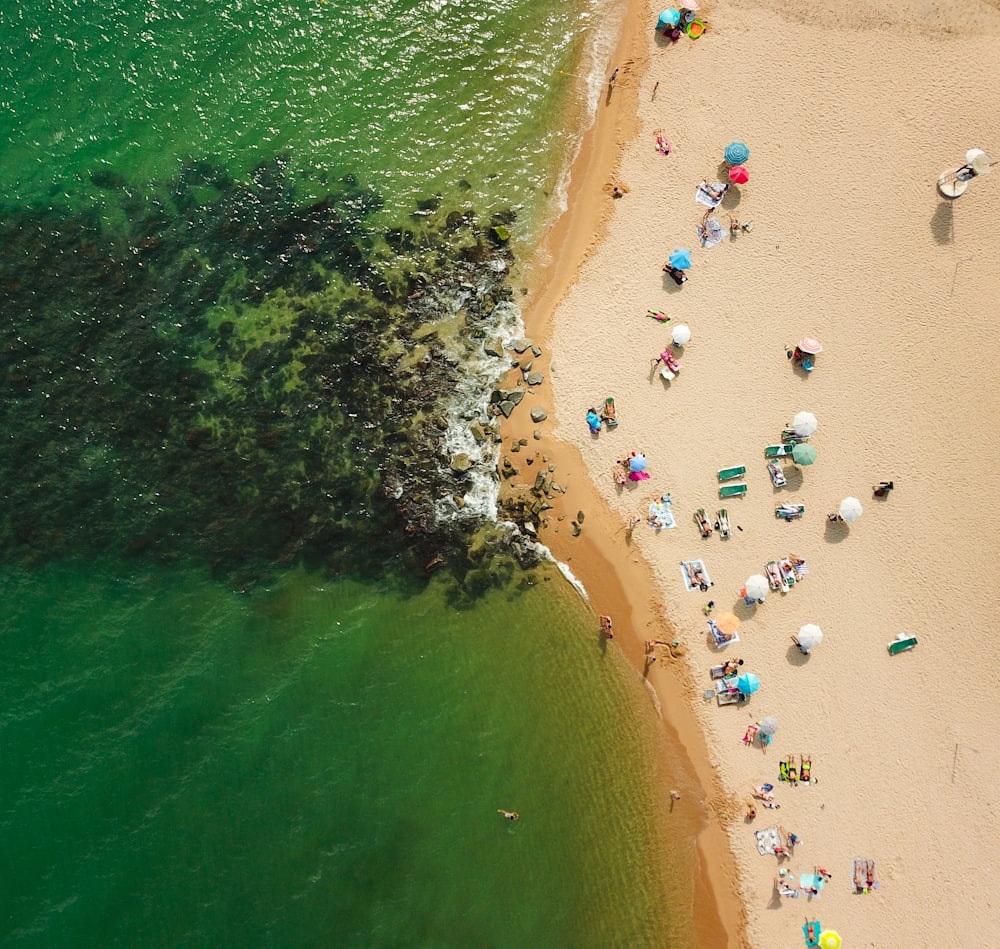 people on beach aerial photography