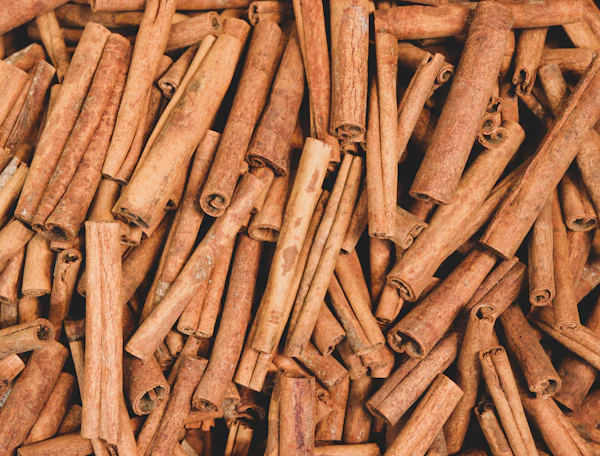Rolled cinnamon bark stacked in a pile