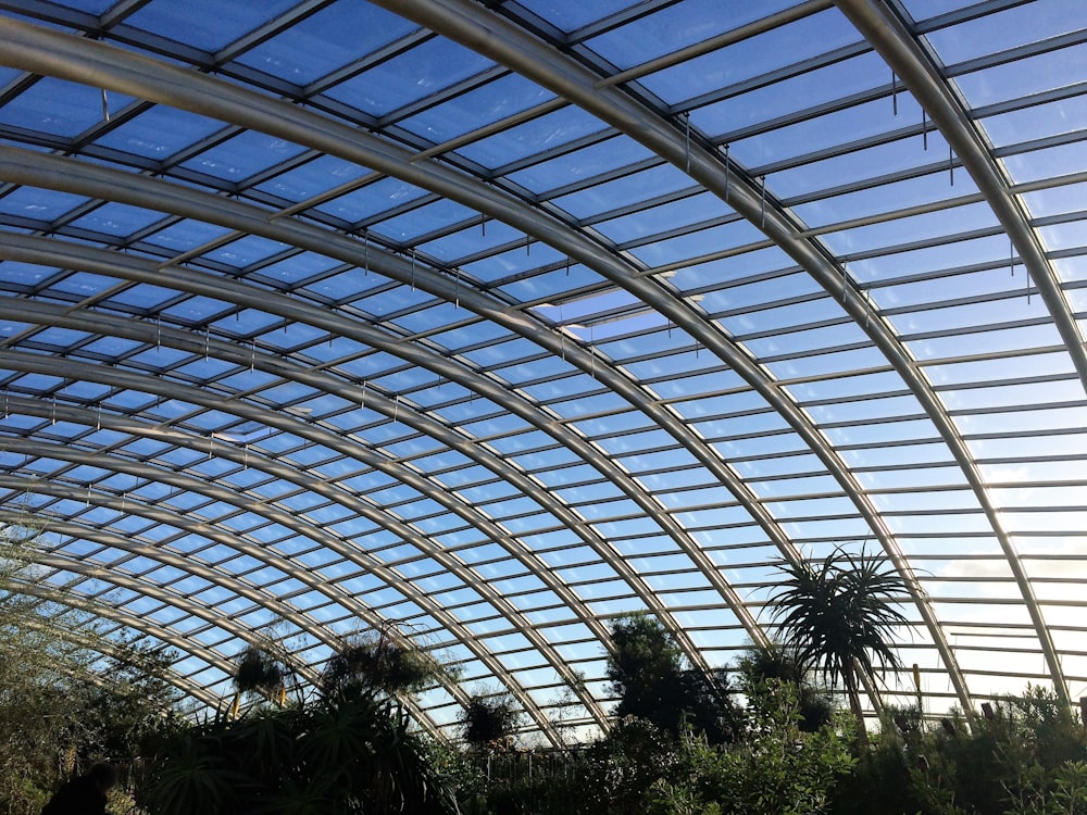 grey metal framed greenhouse during daytime