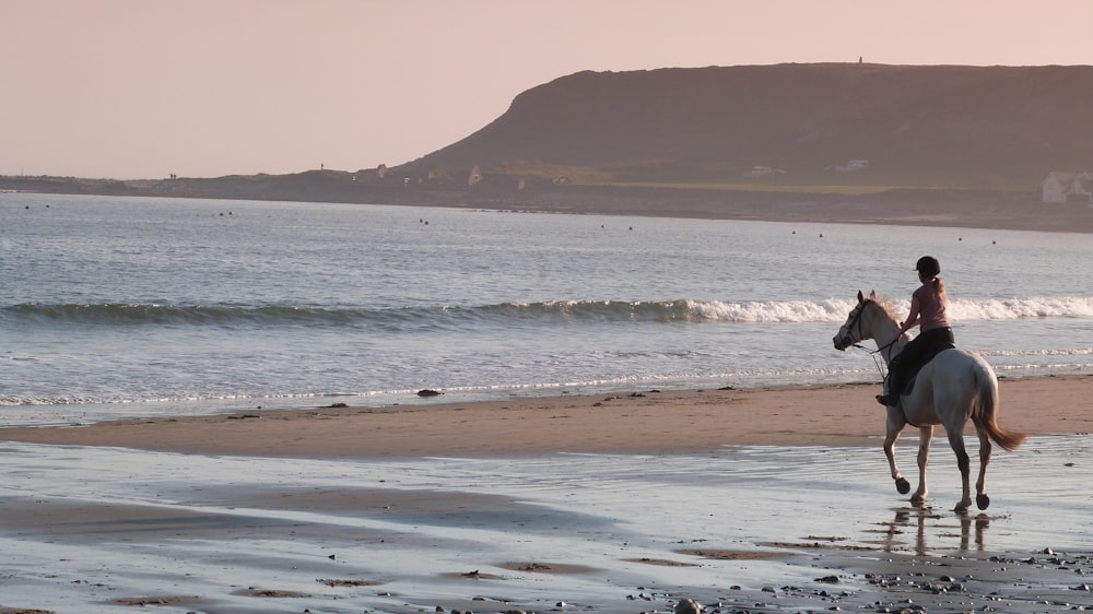 person riding horse