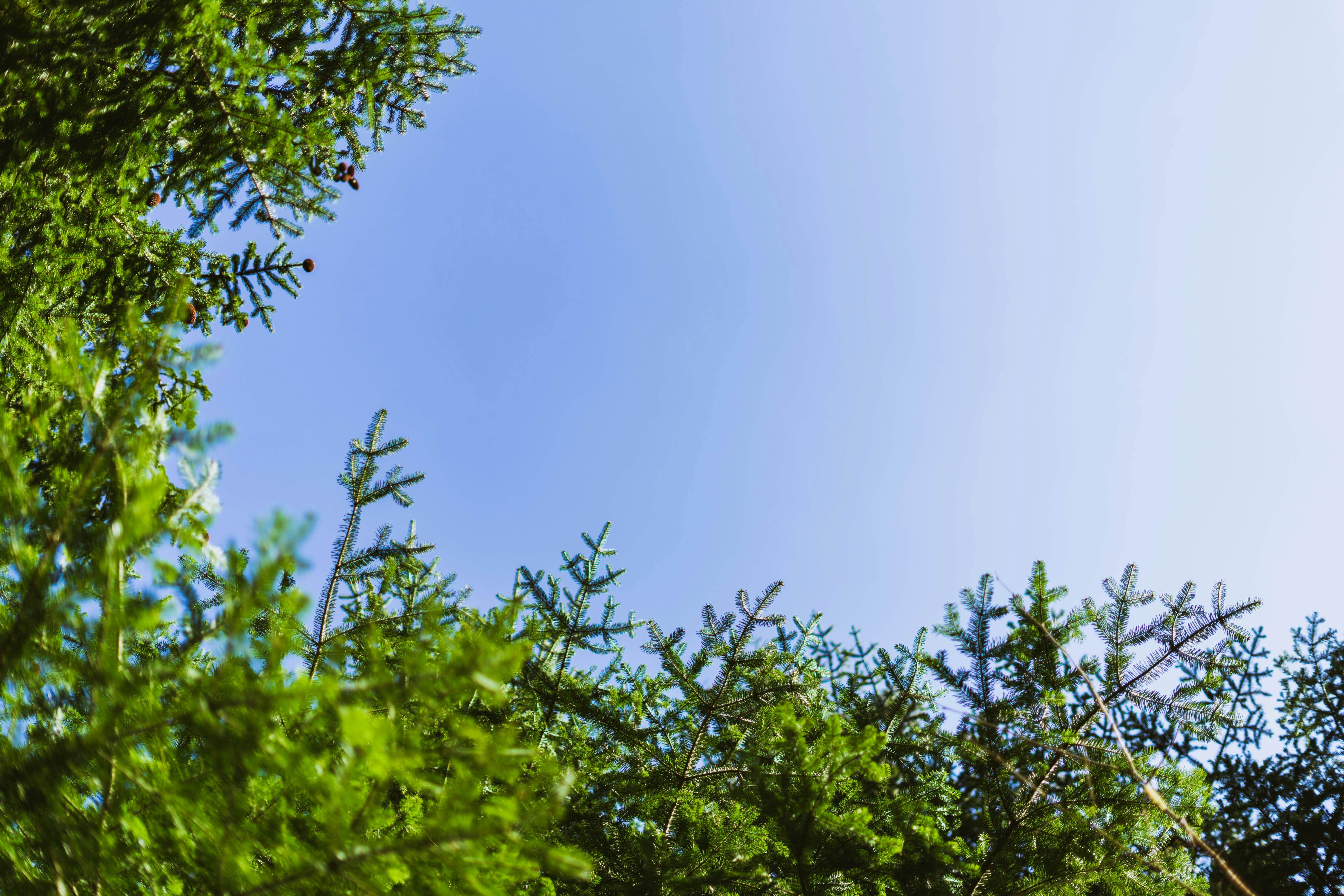 Photo by virussinside