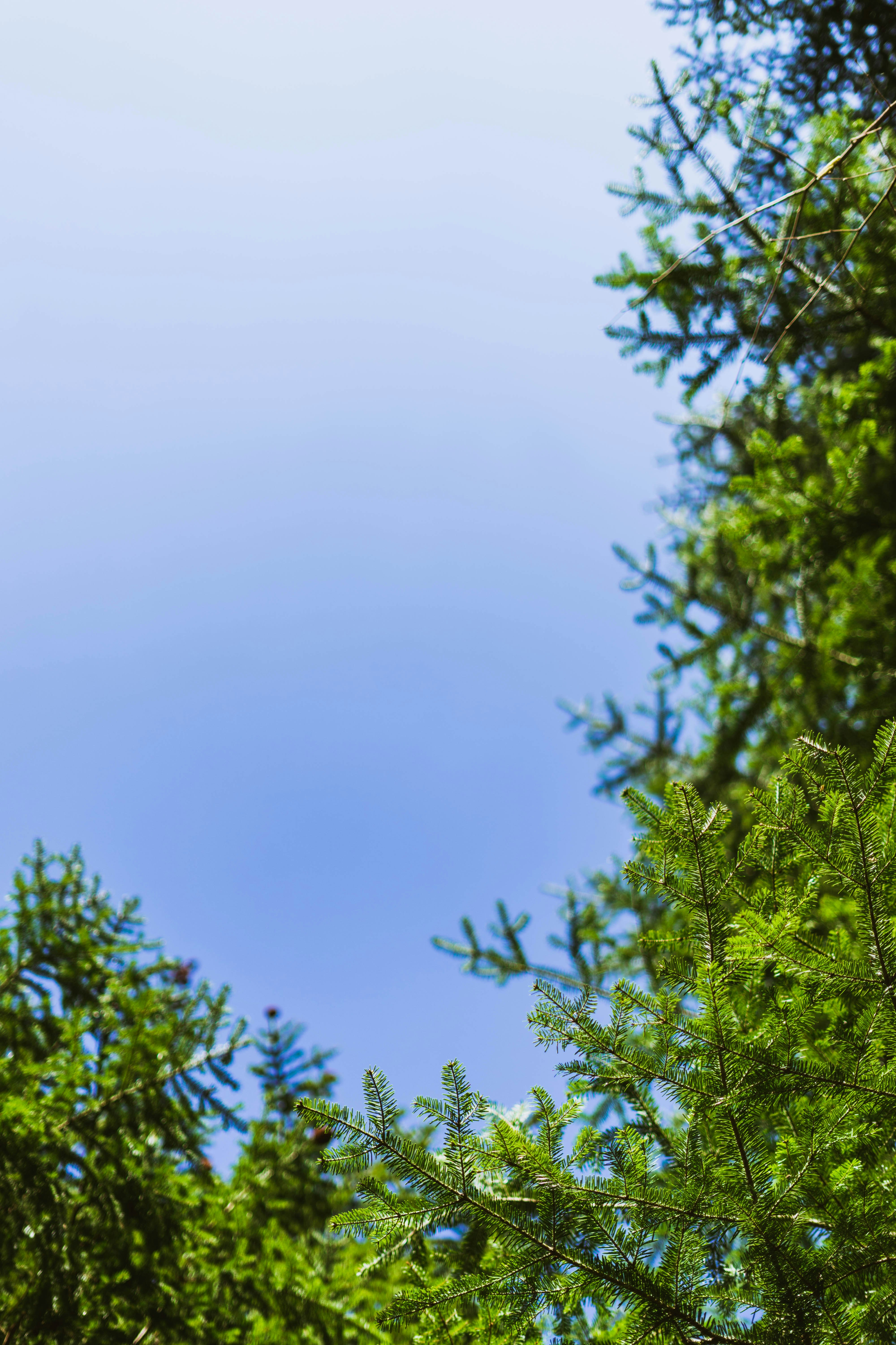 Photo by virussinside