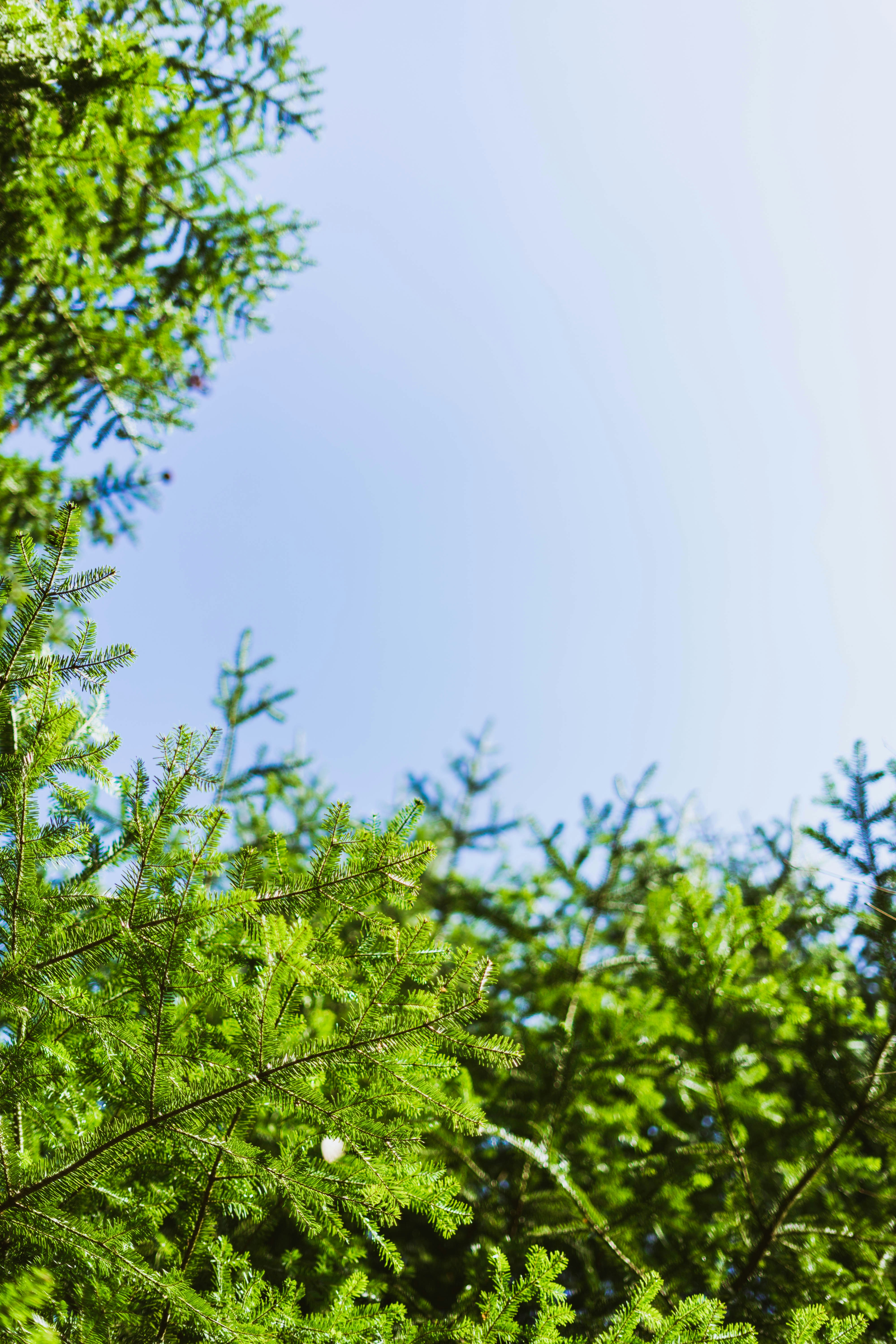 Photo by virussinside