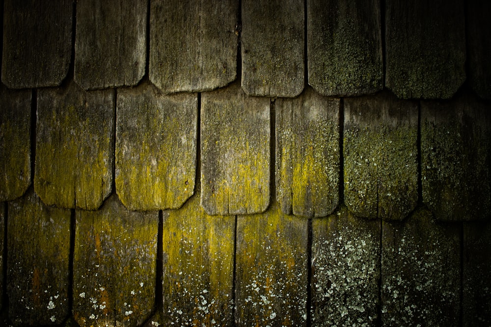 a wooden wall with moss growing on it