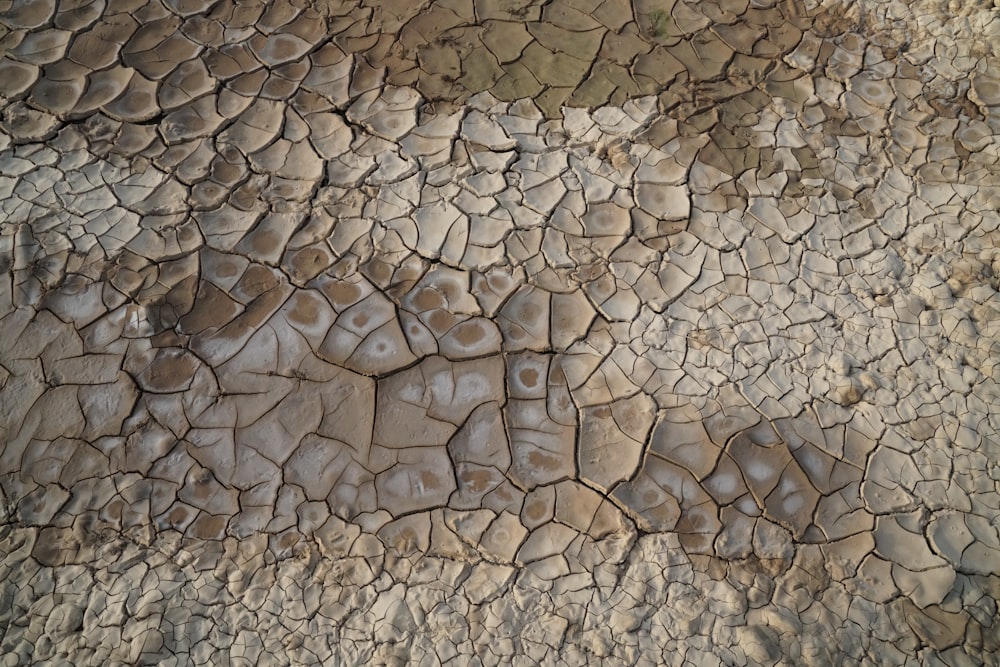 brown stone pathway