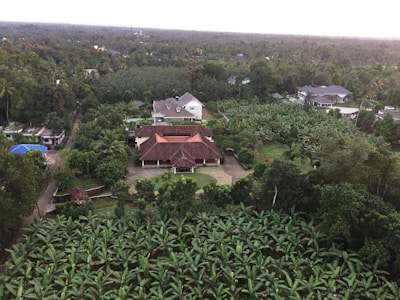 An aerial view of a lush, green landscape featuring multiple houses surrounded by dense vegetation and plantations. The central focus is a large house with a distinctive red roof, surrounded by banana plants and various trees. Other houses are scattered throughout the area, immersed in the verdant environment.