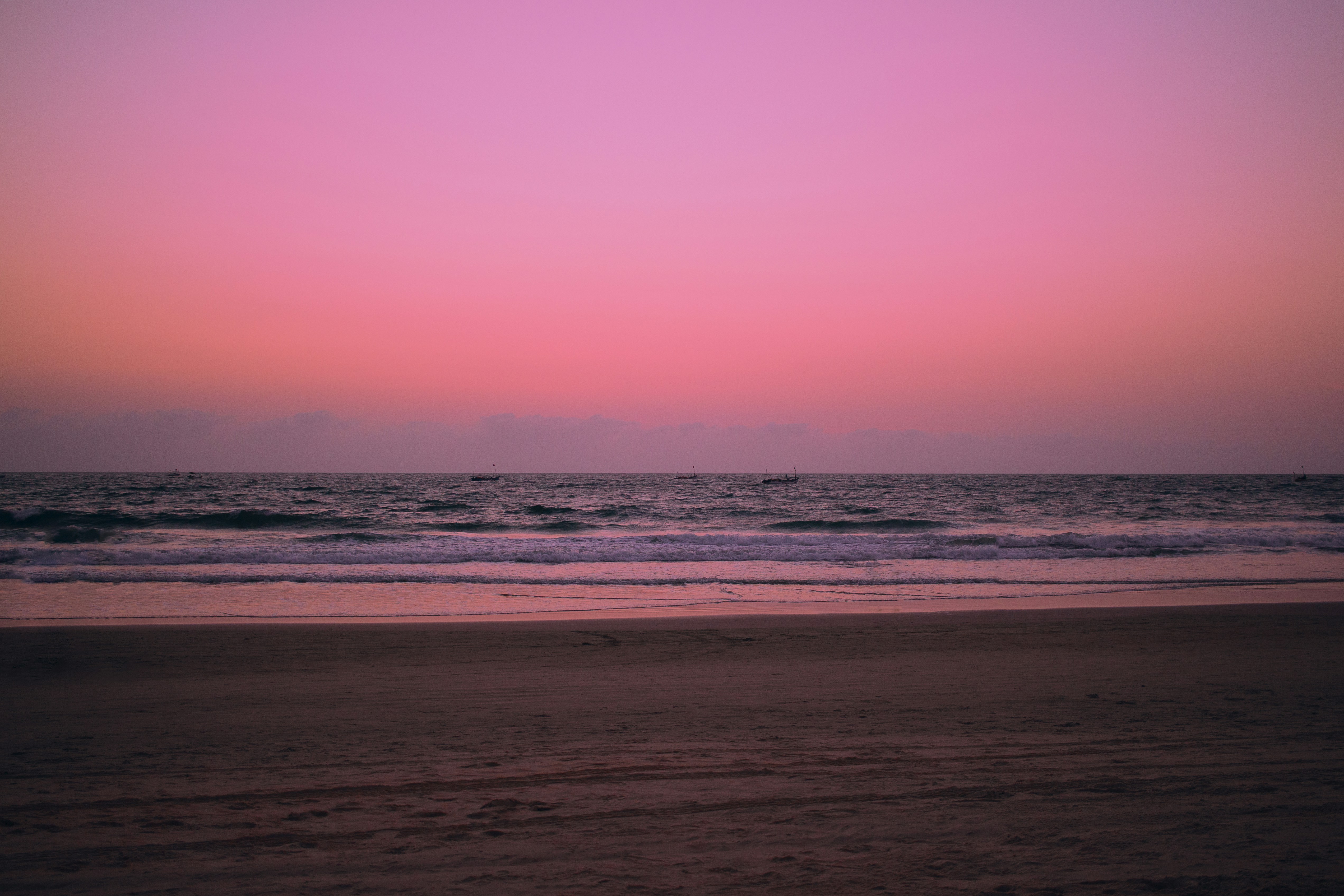 Photo by wildandbeyondbyvivek