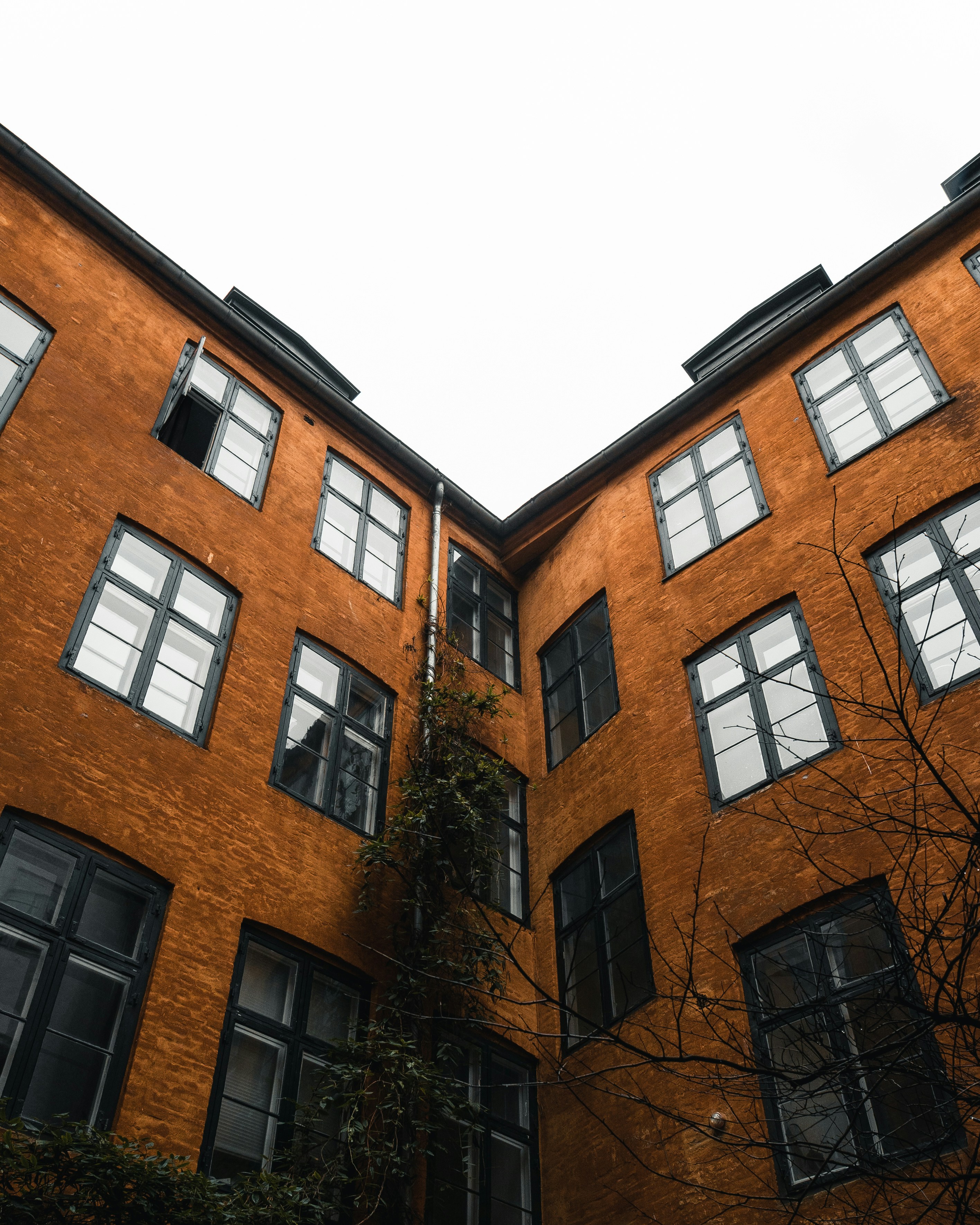 Photo by andreasdress