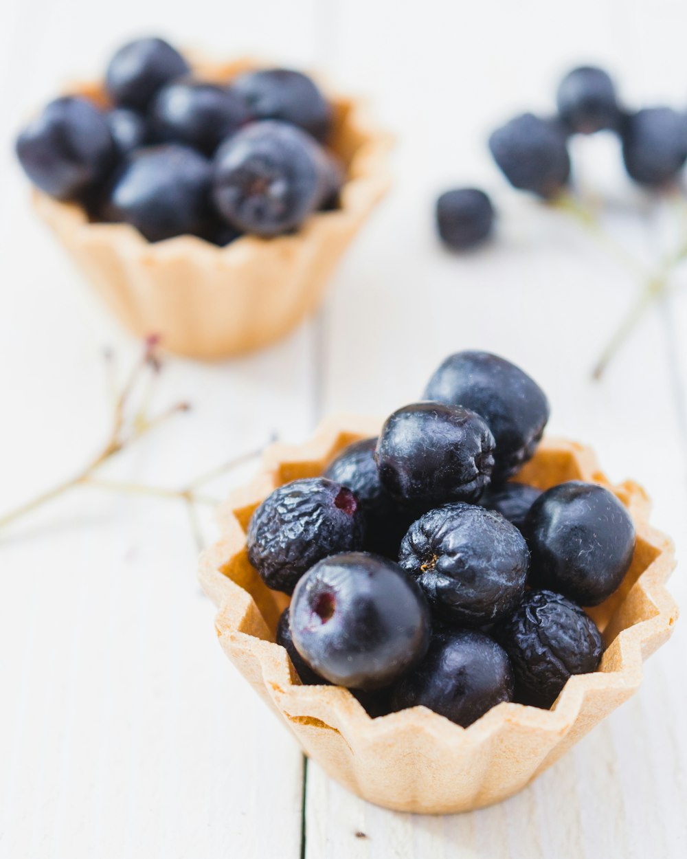 two blueberry tarts