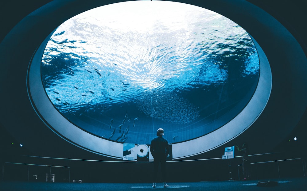 man standing in front of aquarium