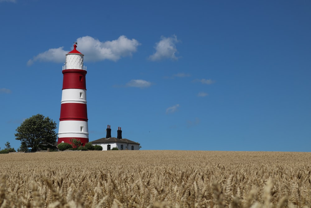 lighthouse in front of house with crop field