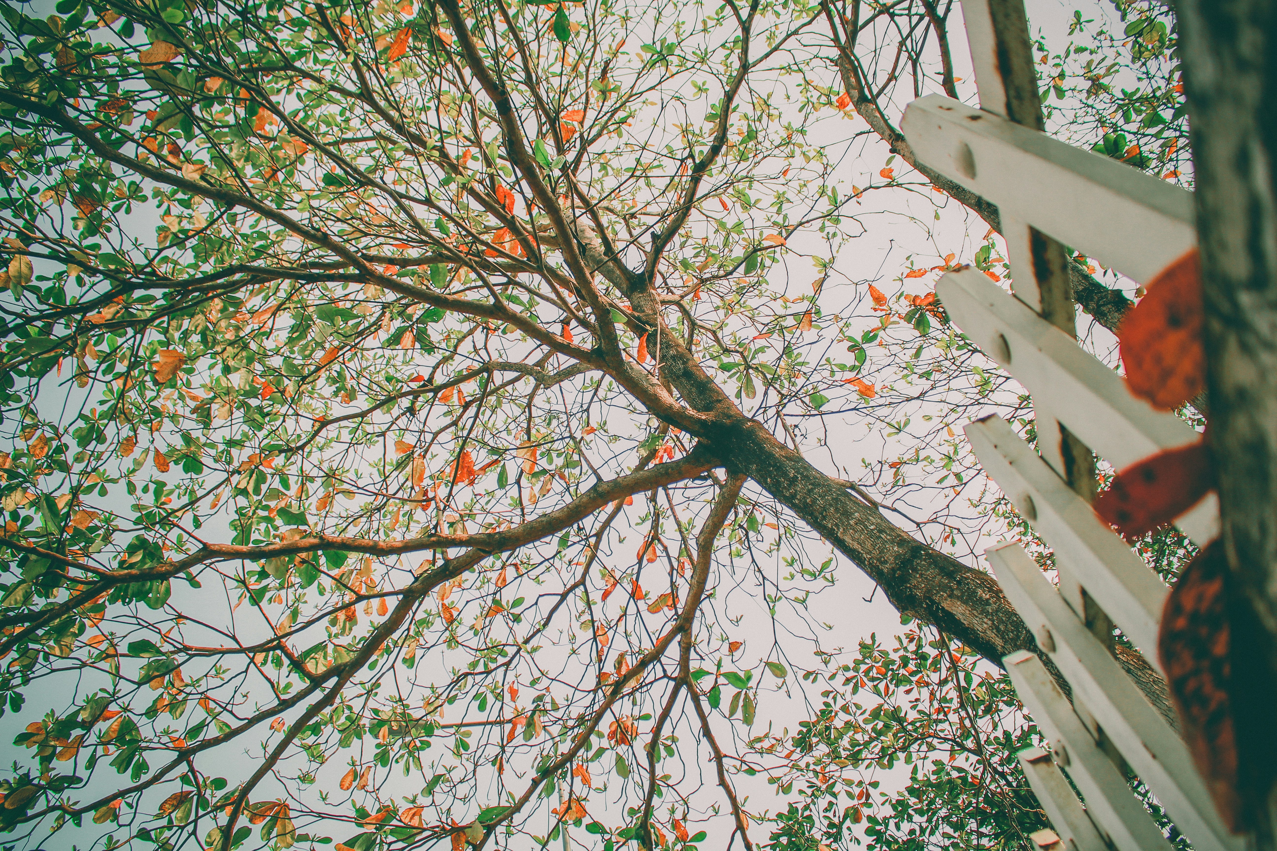 Photo by yenyen11011998