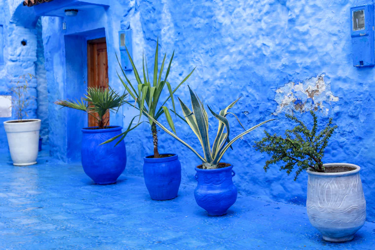 A cobalt lane, Chefchaouen