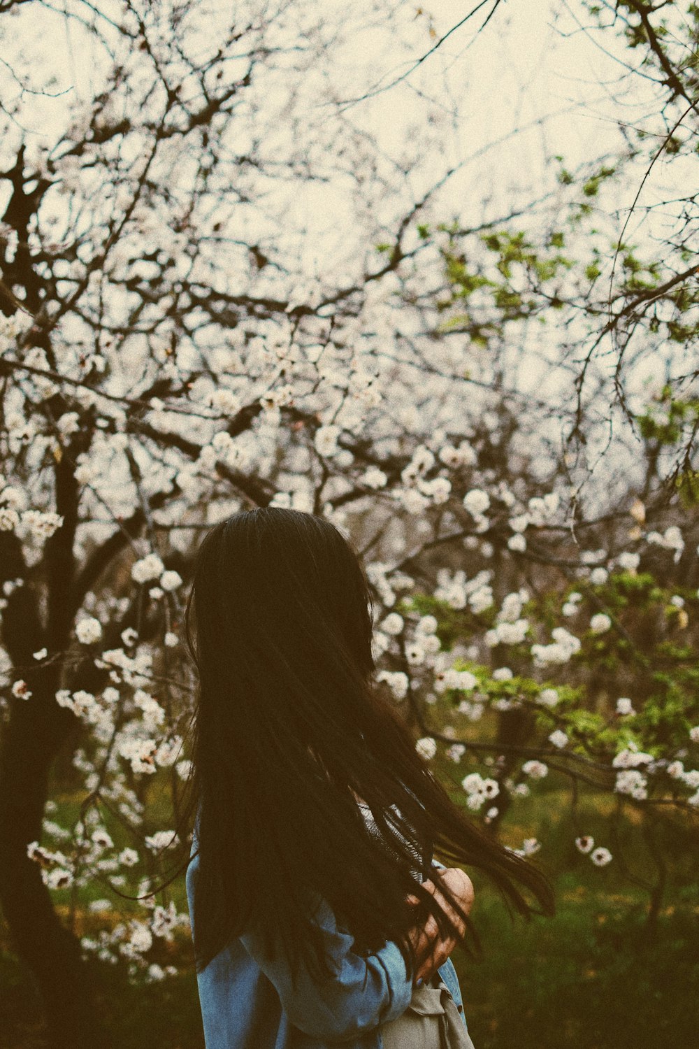 흰 꽃으로 나무를 마주 보는 여자의 선택적 초점 사진