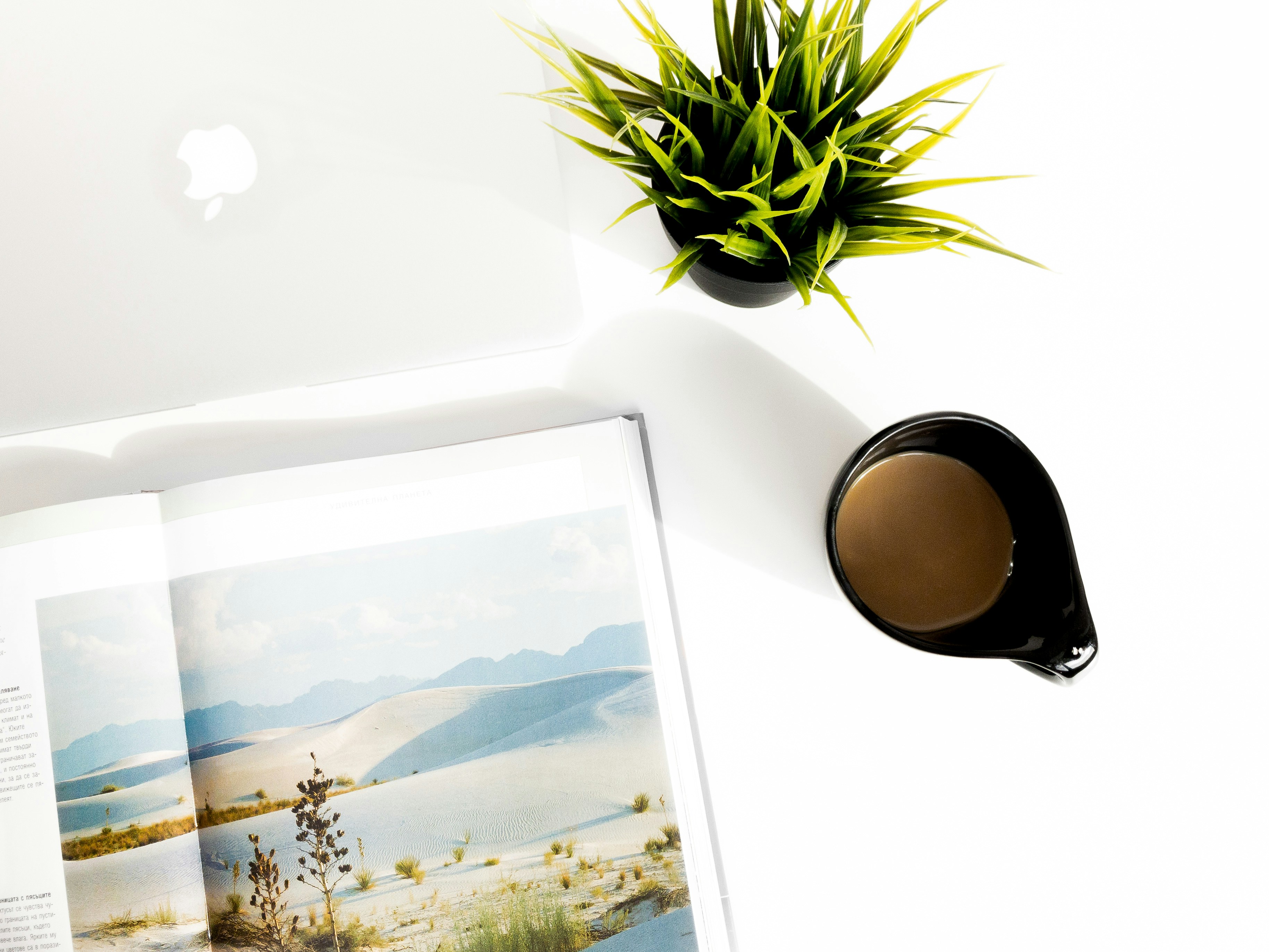 Photo by genadikgeorgiev