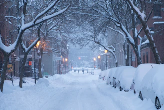 snow covers cars parked on road side