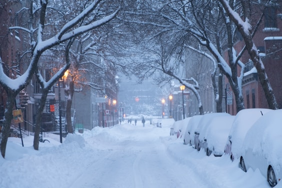 snow covers cars parked on road side
