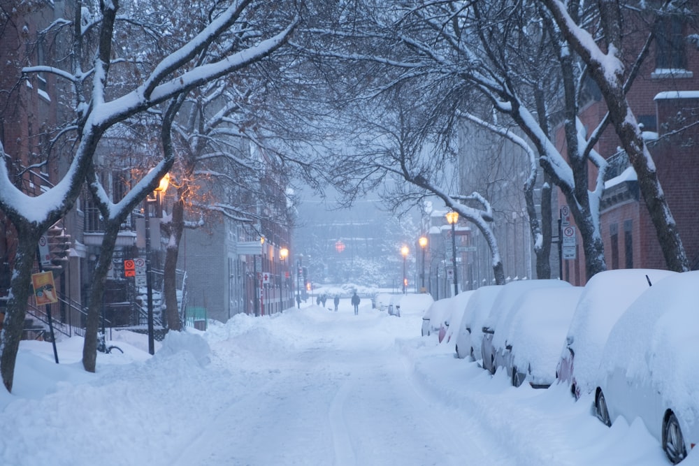 snow covers cars parked on road side