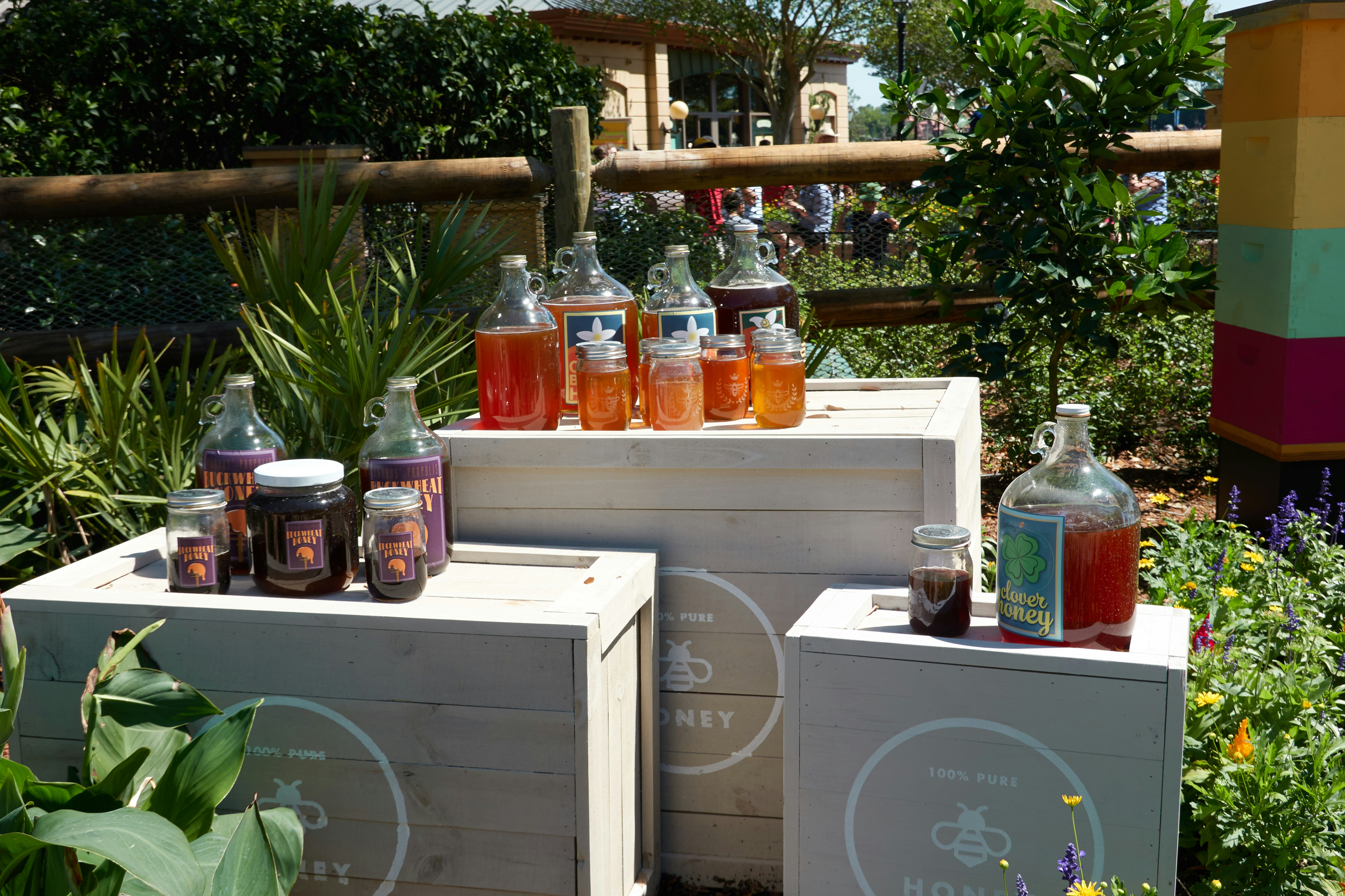 Craft Mead Experience