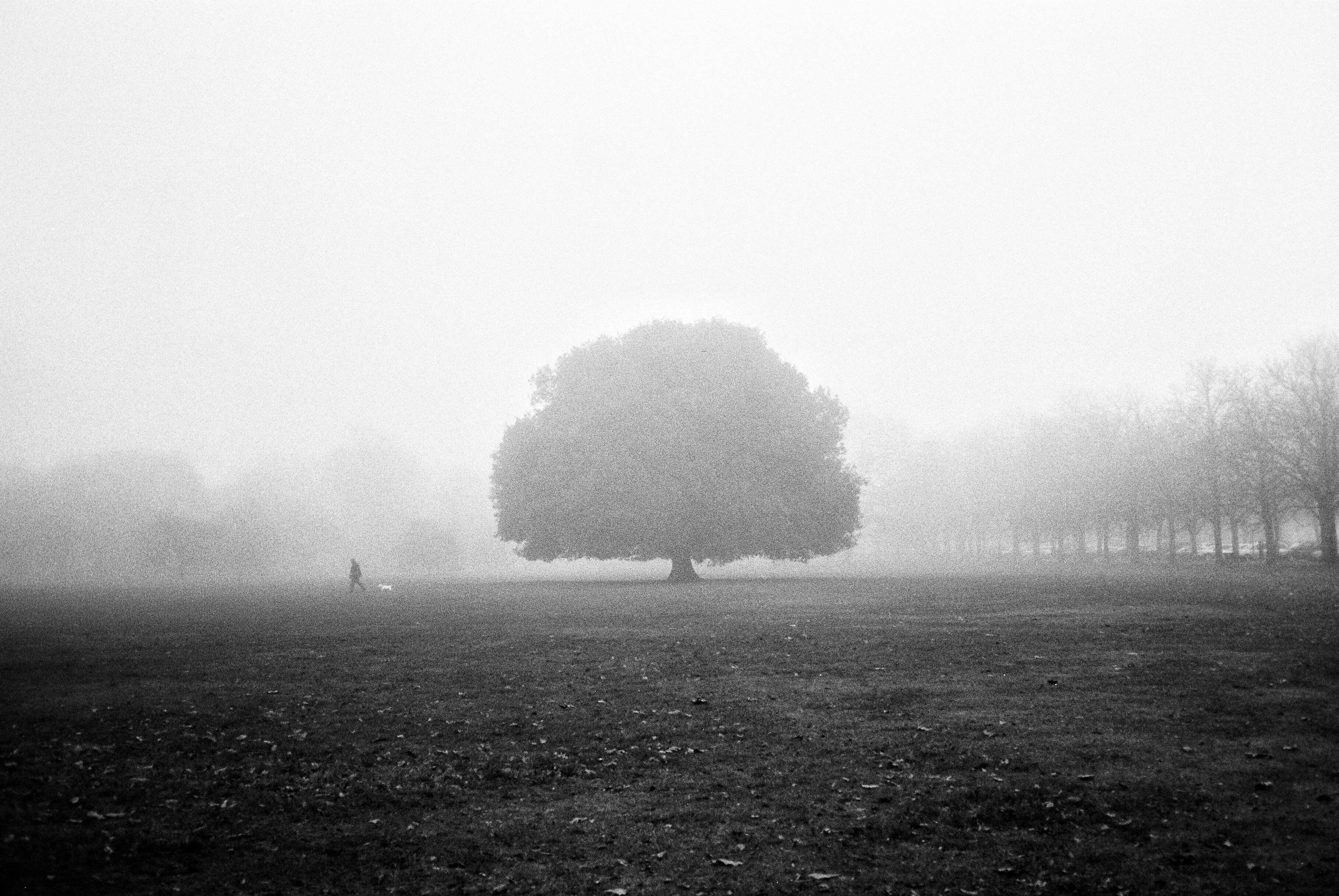 Photo by tomasrobertson