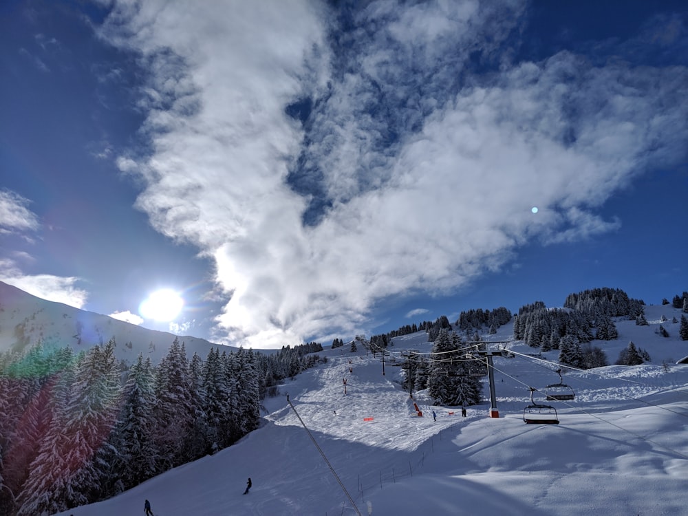 people riding snowboards during daytime