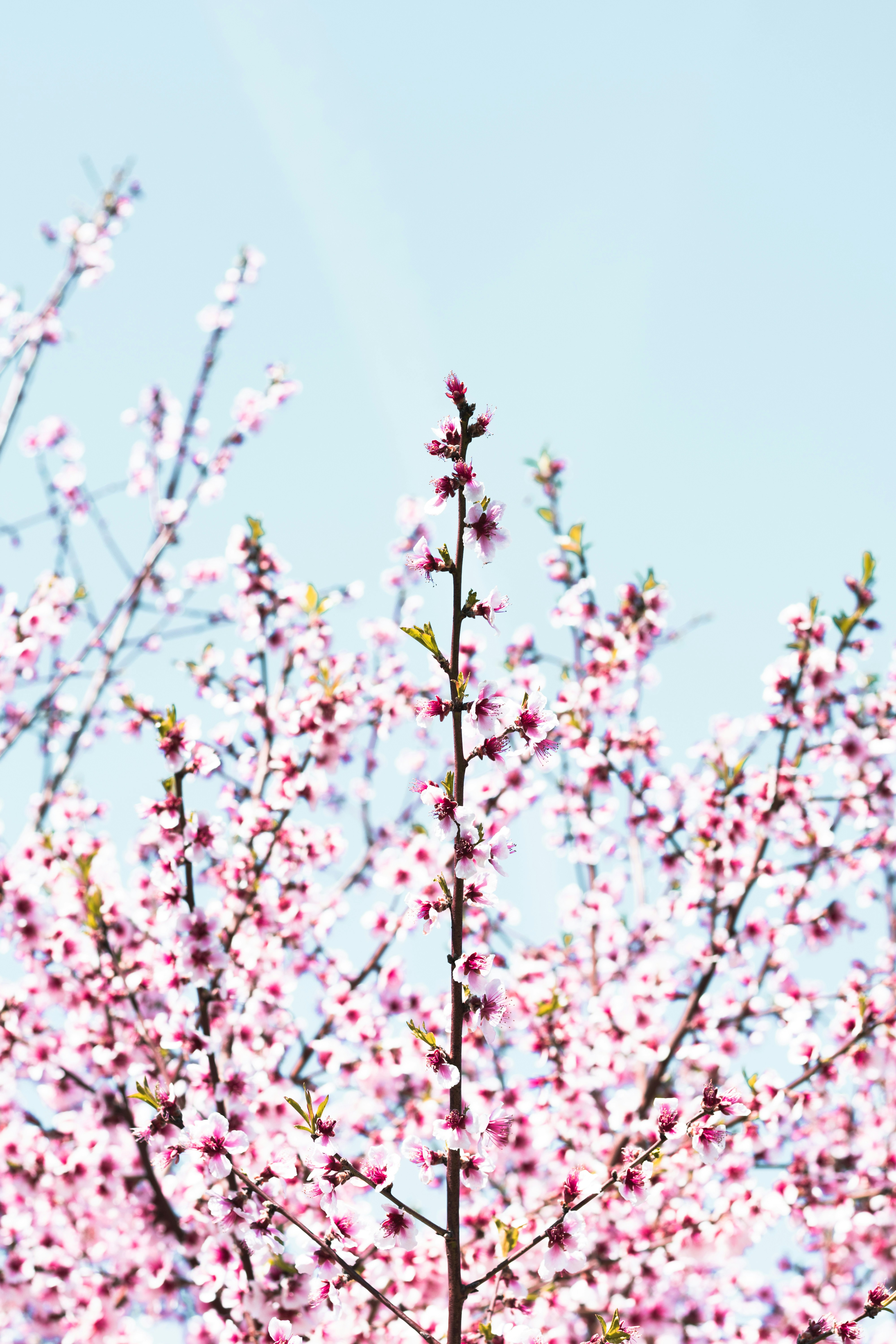 Photo by damiano_baschiera