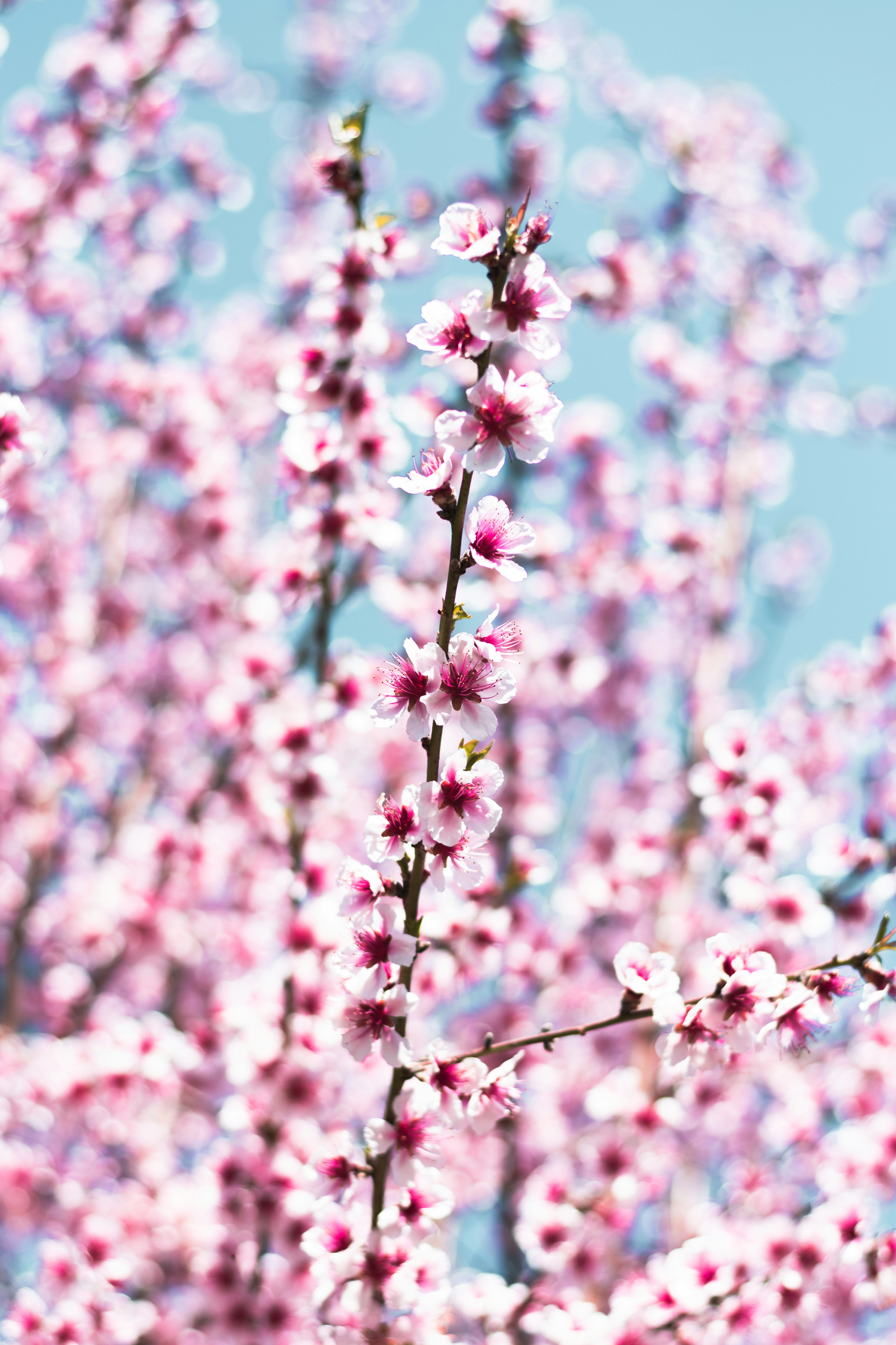 Photo by damiano_baschiera