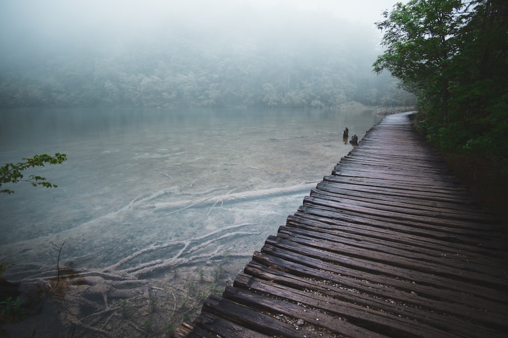 brown wooden walk bridge