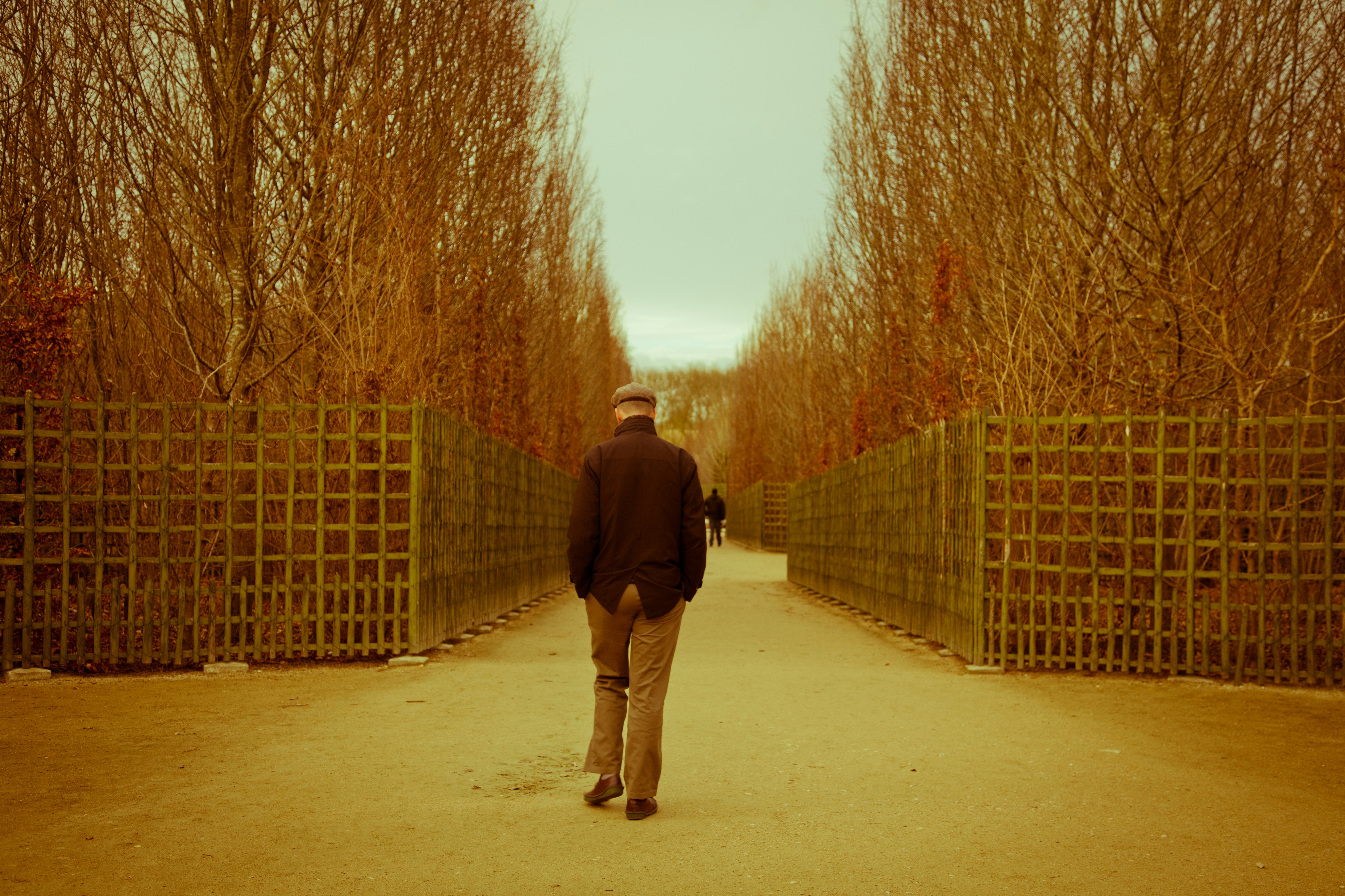 Man walking along pathway photo – Free Human Image on Unsplash