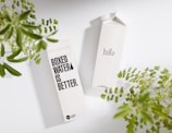 Two cartons of boxed water are placed on a light surface, surrounded by green leafy plants. One carton displays text saying 'BOXED WATER IS BETTER,' while the other carton simply says 'hello.'