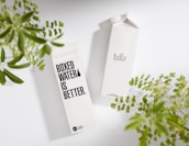 Two cartons of boxed water are placed on a light surface, surrounded by green leafy plants. One carton displays text saying 'BOXED WATER IS BETTER,' while the other carton simply says 'hello.'