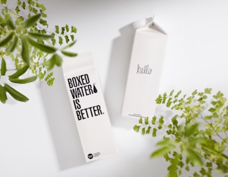 Two cartons of boxed water are placed on a light surface, surrounded by green leafy plants. One carton displays text saying 'BOXED WATER IS BETTER,' while the other carton simply says 'hello.'
