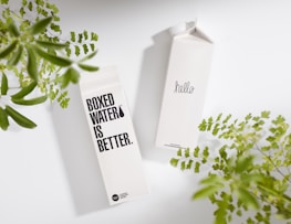 Two cartons of boxed water are placed on a light surface, surrounded by green leafy plants. One carton displays text saying 'BOXED WATER IS BETTER,' while the other carton simply says 'hello.'