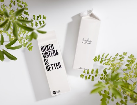 Two cartons of boxed water are placed on a light surface, surrounded by green leafy plants. One carton displays text saying 'BOXED WATER IS BETTER,' while the other carton simply says 'hello.'