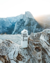 A cardboard carton labeled 'Boxed Water Is Better' stands on a weathered, dried tree trunk. The background features a majestic view of rugged mountains under a clear sky with sunlight streaming down.