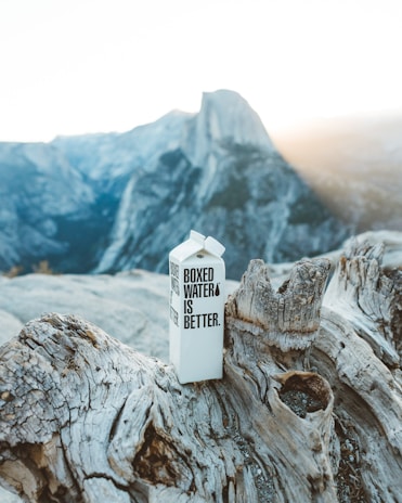 A cardboard carton labeled 'Boxed Water Is Better' stands on a weathered, dried tree trunk. The background features a majestic view of rugged mountains under a clear sky with sunlight streaming down.
