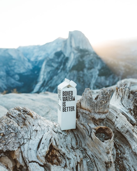 A cardboard carton labeled 'Boxed Water Is Better' stands on a weathered, dried tree trunk. The background features a majestic view of rugged mountains under a clear sky with sunlight streaming down.