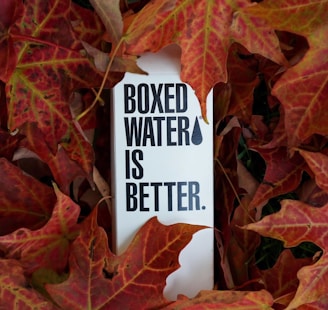 A carton with the text 'Boxed Water is Better' is surrounded by vibrant red and orange autumn leaves.