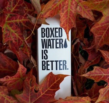 A carton with the text 'Boxed Water is Better' is surrounded by vibrant red and orange autumn leaves.