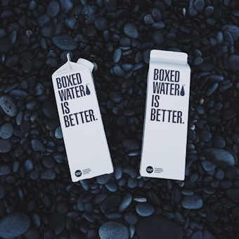 Two cartons labeled 'Boxed Water Is Better' rest on a bed of smooth, dark stones. The cartons are white and feature bold black text, emphasizing an eco-friendly message.