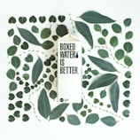 A carton with the text 'Boxed Water Is Better' is surrounded by an arrangement of green leaves of varying shapes and sizes, placed on a light background.
