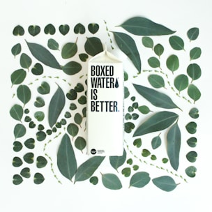 A carton with the text 'Boxed Water Is Better' is surrounded by an arrangement of green leaves of varying shapes and sizes, placed on a light background.