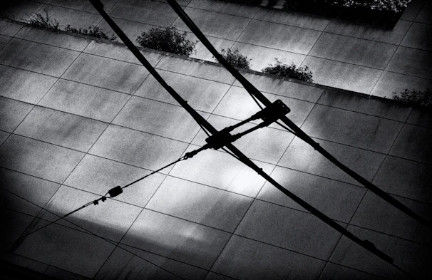 A high-resolution minimalist photo capturing intricate electrical wiring with natural light shadows.