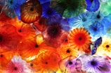 A vibrant display of colorful glass art pieces, resembling sea flowers or abstract jellyfish, with intricate patterns and varied textures. The pieces are overlapping, creating a mesmerizing and dynamic composition.