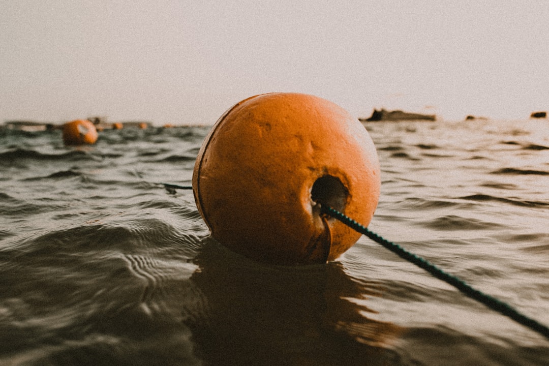 buoys floating on water