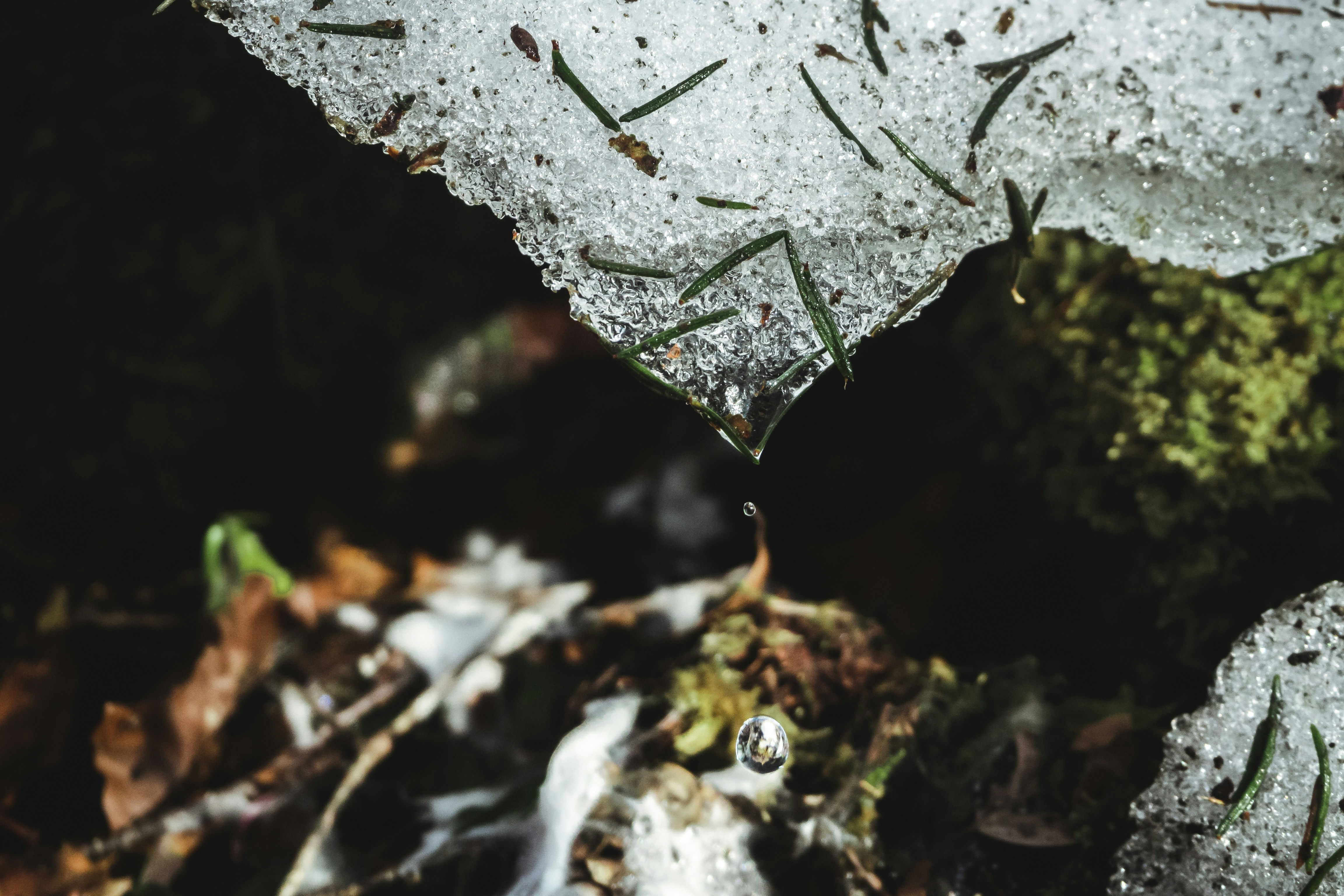 Photo by markus_lederer