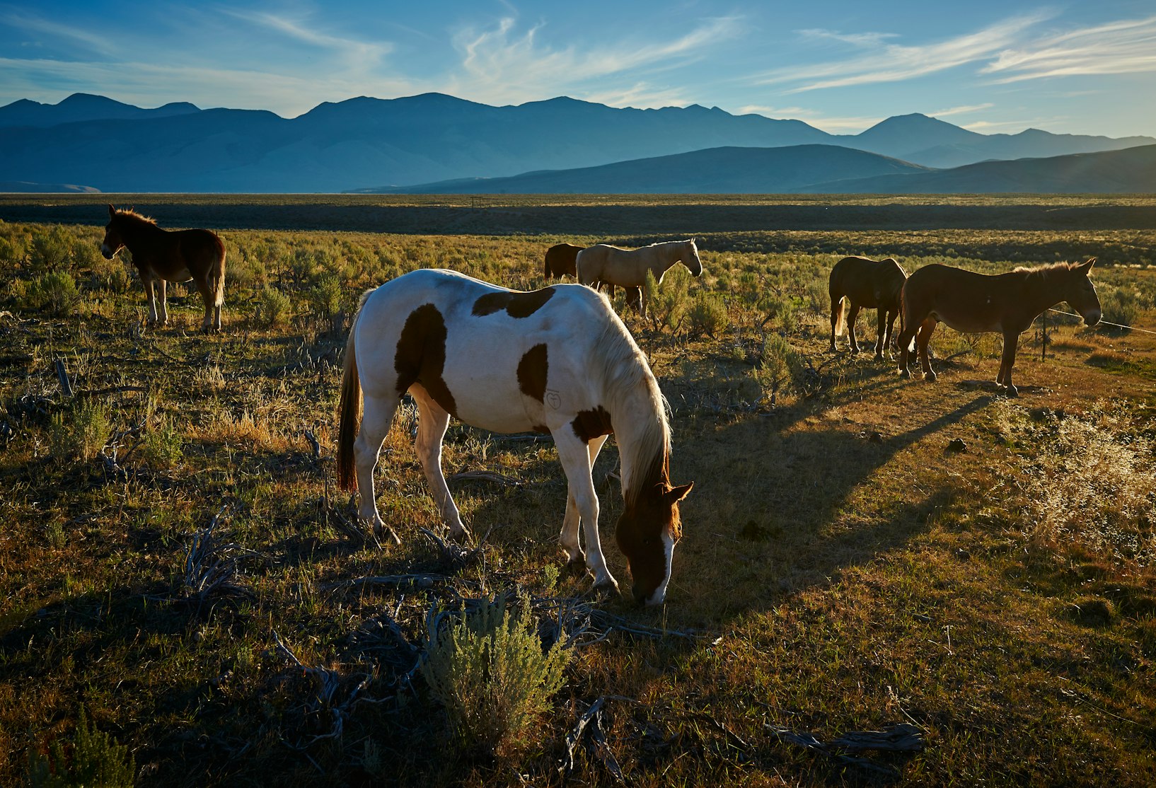 Baby Boomers Are Leaving Behind a Trail of Luxury Ranches