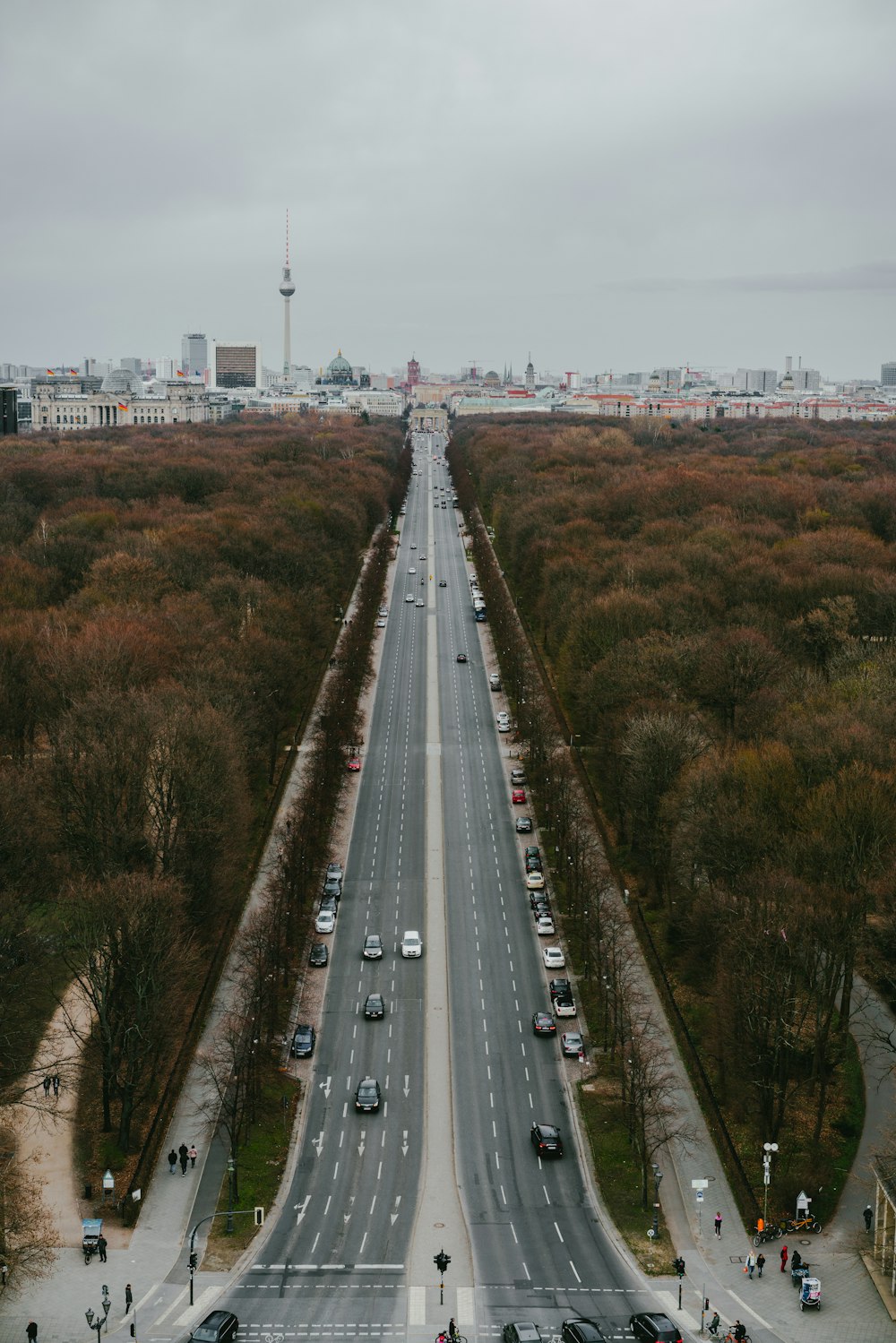 high-angle photography of road between trees