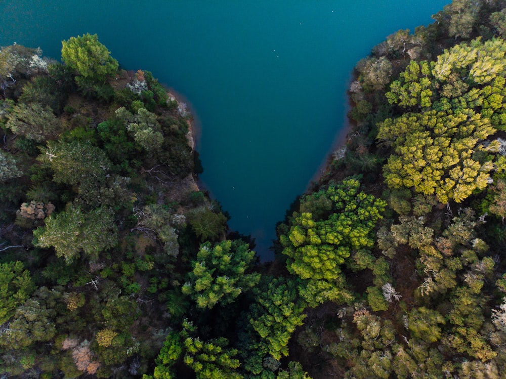 Paisaje aéreo de la naturaleza