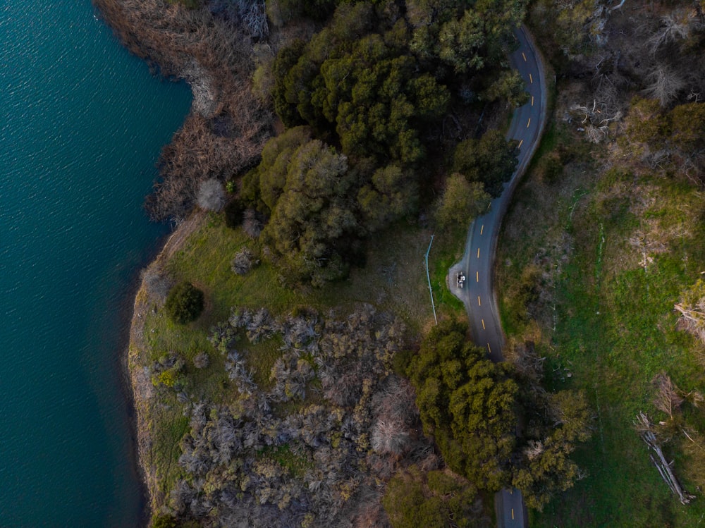 bird's eye photography of road near body of water